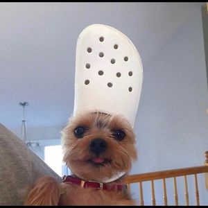 Meet your Posher, Katelyn